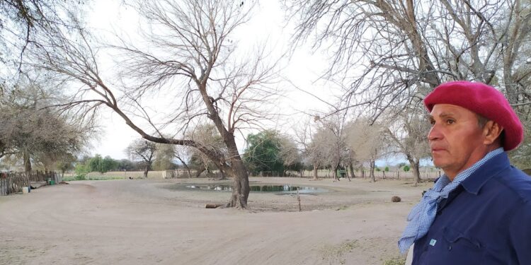 El gaucho Corico Chávez recorrió el país a lomo de mula llevando el mensaje del Cura Brochero: Pasó cerca del obelisco y pensó “qué locura”