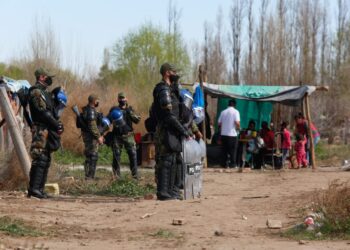 La usurpación de una chacra en el Alto Valle dejó entrever la triste situación que afrontan las fincas productoras de peras y manzanas
