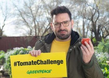 Desafío Tomate: Como si contestara a la campaña maniquea de Greenpeace, la alemana Bayer anunció una nueva línea de semillas para hacer tomates orgánicos