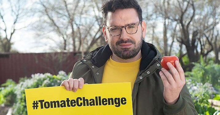 Desafío Tomate: Como si contestara a la campaña maniquea de Greenpeace, la alemana Bayer anunció una nueva línea de semillas para hacer tomates orgánicos