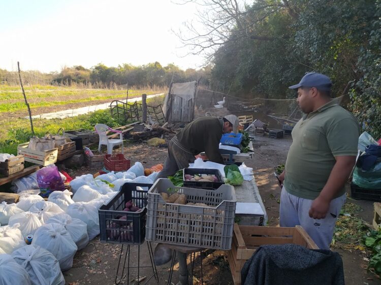 Domingo Gómez y su familia rompen el prejuicio de que la agroecología es cosa solo de “chicos ricos”: Él siempre vivió doblado sobre el surco y un día optó por enderezarse
