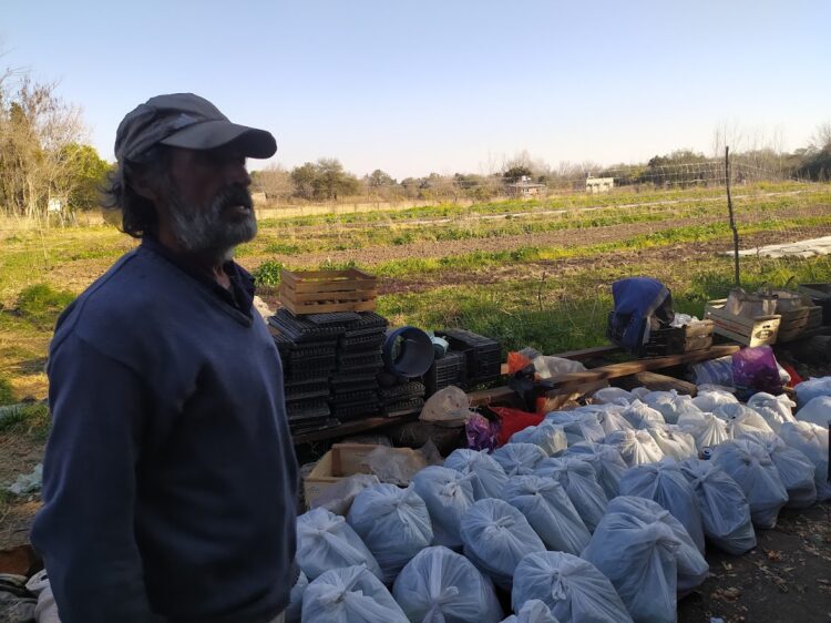Domingo Gómez y su familia rompen el prejuicio de que la agroecología es cosa solo de “chicos ricos”: Él siempre vivió doblado sobre el surco y un día optó por enderezarse