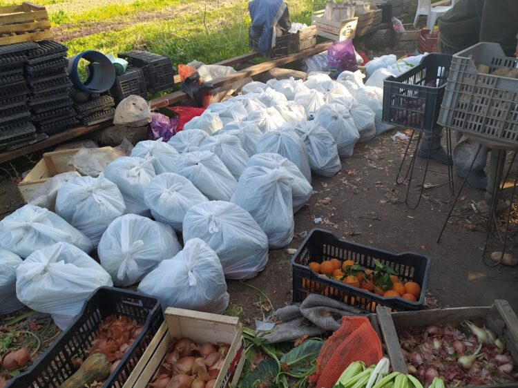 Domingo Gómez y su familia rompen el prejuicio de que la agroecología es cosa solo de “chicos ricos”: Él siempre vivió doblado sobre el surco y un día optó por enderezarse