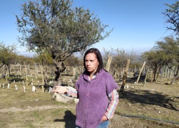 Trepando al Champaquí, la enóloga Elina Gaido montó un viñedo experimental donde además rescata las cepas olvidadas de Traslasierra
