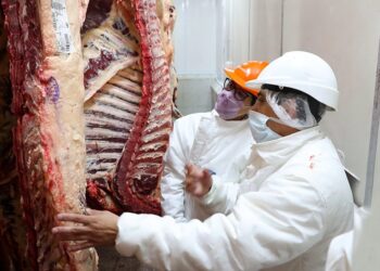 Sin gran demanda interna y con las exportaciones limitadas, las cámaras frigoríficas comienzan a abarrotarse de carne