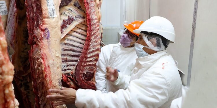 Sin gran demanda interna y con las exportaciones limitadas, las cámaras frigoríficas comienzan a abarrotarse de carne