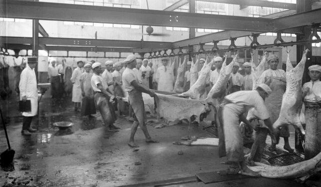 Alberto, actualizate: Frigoríficos dicen que el cepo exportador “no tiene sustento” y reclaman al gobierno por una agenda que se discontinuó