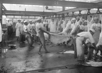 Alberto, actualizate: Frigoríficos dicen que el cepo exportador “no tiene sustento” y reclaman al gobierno por una agenda que se discontinuó