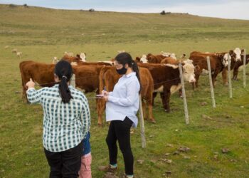 ¿En qué consiste el programa Producción Ganadera Climáticamente Inteligente y Restauración del Suelo en Pastizales Uruguayos?