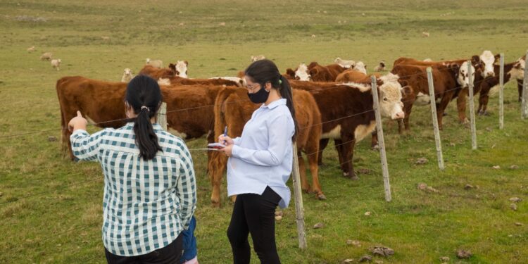 ¿En qué consiste el programa Producción Ganadera Climáticamente Inteligente y Restauración del Suelo en Pastizales Uruguayos?