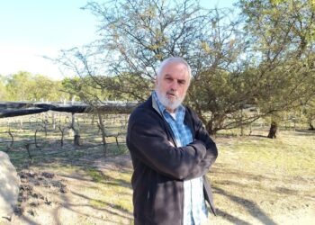 Historias de Traslasierra: Goyo Aráoz de Lamadrid se enamoró del paisaje serrano de San Javier y comenzó a producir allí sus propios vinos