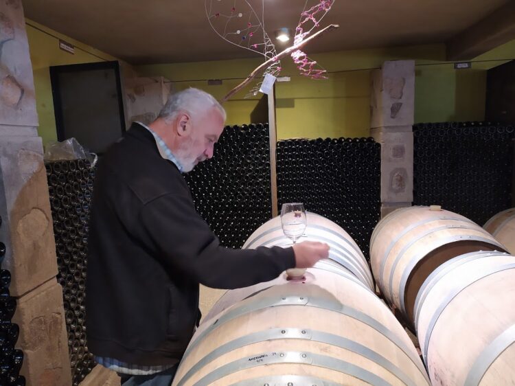 Historias de Traslasierra: Goyo Aráoz de Lamadrid se enamoró del paisaje serrano de San Javier y comenzó a producir allí sus propios vinos