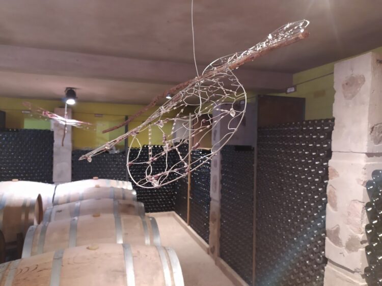 Historias de Traslasierra: Goyo Aráoz de Lamadrid se enamoró del paisaje serrano de San Javier y comenzó a producir allí sus propios vinos