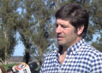 Santiago Guazzelli realiza ensayos con cultivos de servicio en Tandil, no solo como cobertura sino también como alimento para el ganado: “Le estamos encontrando el agujero al mate”