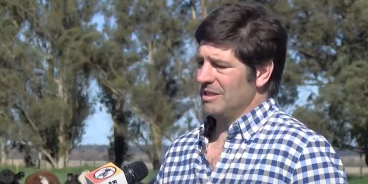 Santiago Guazzelli realiza ensayos con cultivos de servicio en Tandil, no solo como cobertura sino también como alimento para el ganado: “Le estamos encontrando el agujero al mate”