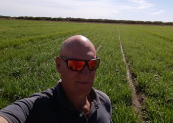 ¿Qué son las chufas? José Manuel Rabanedo es el único que produce en el país este nutritivo cultivo que proviene de África y es muy popular en España