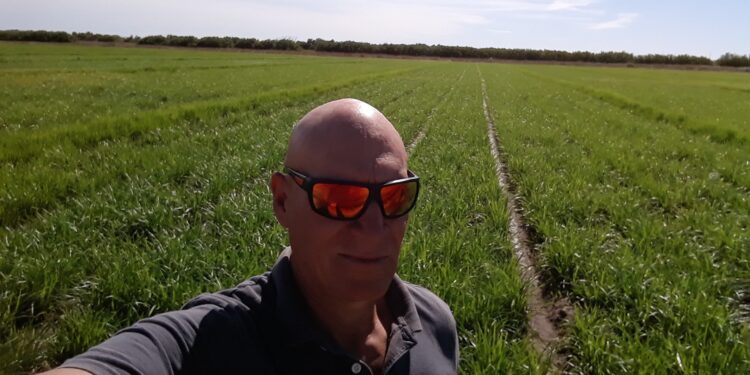 ¿Qué son las chufas? José Manuel Rabanedo es el único que produce en el país este nutritivo cultivo que proviene de África y es muy popular en España