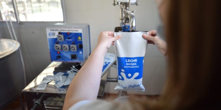 Una historia deliciosa: Una agrotécnica de Entre Ríos ya puede envasar en sachet la leche que produce en el tambo educativo