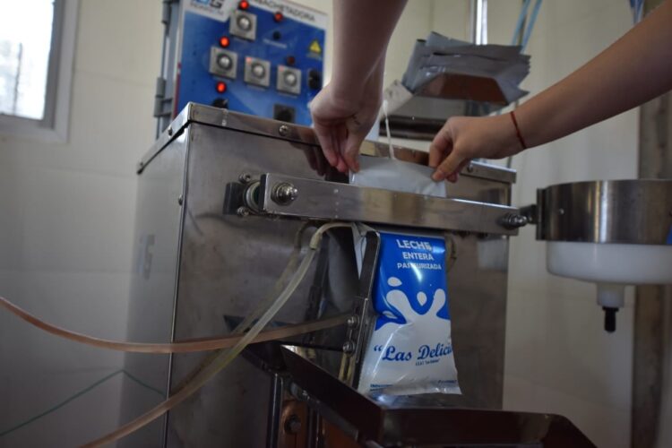 Una historia deliciosa: Una agrotécnica de Entre Ríos ya puede envasar en sachet la leche que produce en el tambo educativo