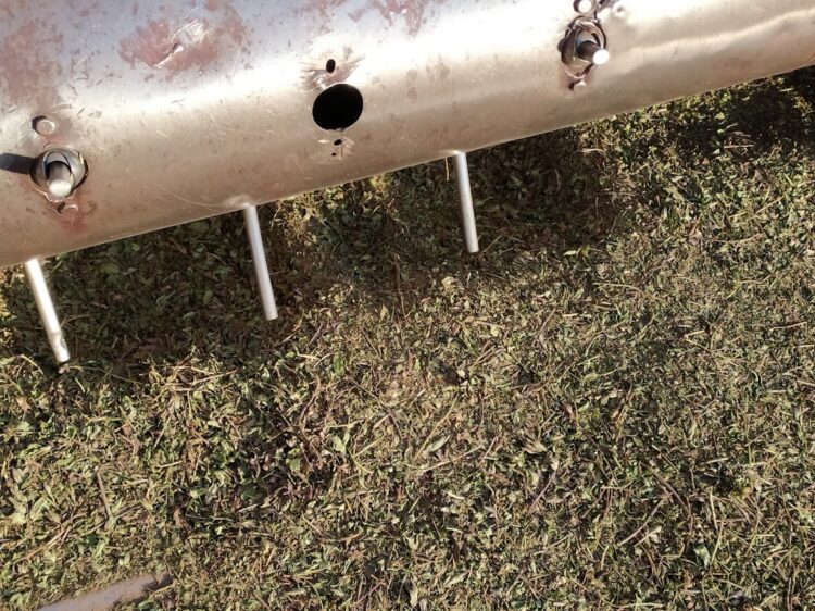 ¿De dónde viene la menta? Graciela Benegas dirige un secadero en Traslasierra y nos explicó todo el proceso, hasta antes del chicle