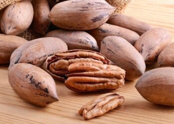 Le buscan la vuelta a la nuez pecán: Un proyecto quiere desarrollar una “leche” vegetal y una pasta untable a partir de ese fruto seco