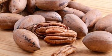Le buscan la vuelta a la nuez pecán: Un proyecto quiere desarrollar una “leche” vegetal y una pasta untable a partir de ese fruto seco