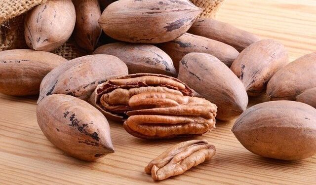 Le buscan la vuelta a la nuez pecán: Un proyecto quiere desarrollar una “leche” vegetal y una pasta untable a partir de ese fruto seco