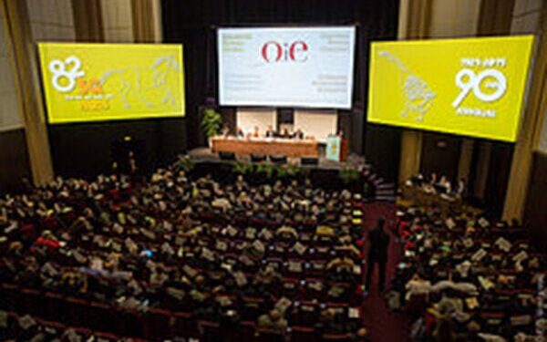 “Riesgo insignificante”: Brasil afirma tener dominados los dos casos de “vaca loca” atípica