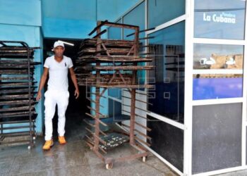 Un jirón en Playa Girón: La Argentina volverá a exportar harina de trigo a Cuba después de 15 años