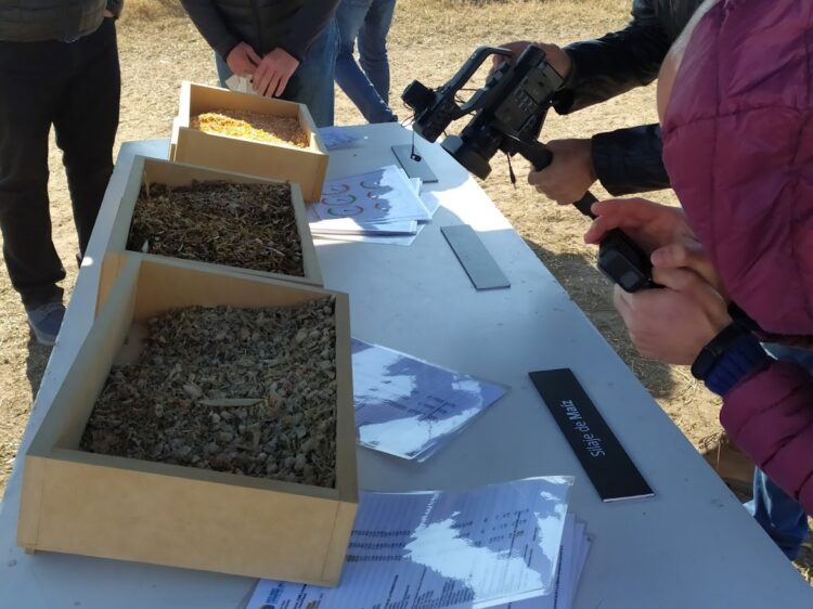 Debería llamarse “Pasión”: Marcelo Passón hace el ciclo ganadero completo en un campo de suelos pobres de Ameghino y sin comprar alimentos