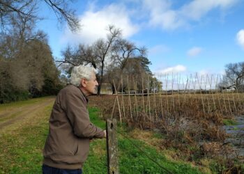 Roberto Rossi transformó en bodega un viejo tambo familiar para elaborar los primeros vinos de Carlos Keen