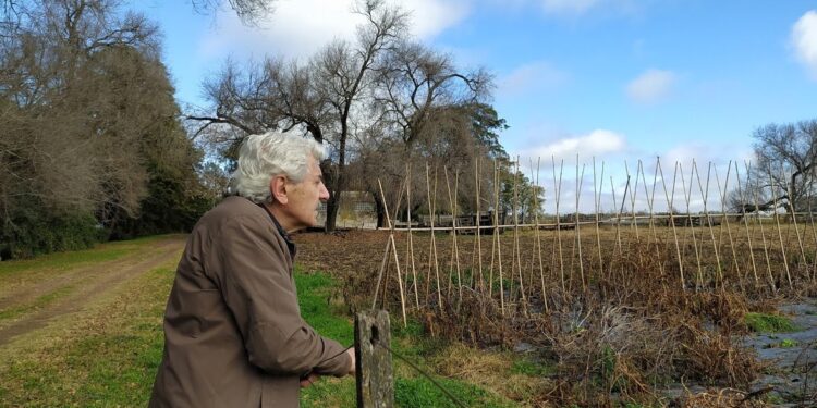 Roberto Rossi transformó en bodega un viejo tambo familiar para elaborar los primeros vinos de Carlos Keen