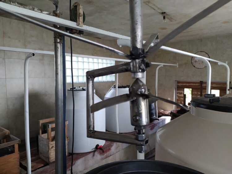 Roberto Rossi transformó en bodega un viejo tambo familiar para elaborar los primeros vinos de Carlos Keen