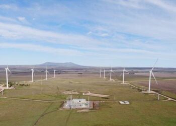 Agroempresas: San Miguel colocó deuda atada a la sustentabilidad, mientras Syngenta crece como exportadora de granos