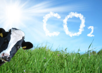 Un estudio del IPCVA asegura que más del 80% de las tierras de pastoreo demuestran potencial para el secuestro de carbono