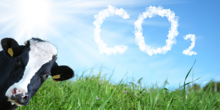 Un estudio del IPCVA asegura que más del 80% de las tierras de pastoreo demuestran potencial para el secuestro de carbono