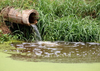 Presentaron un proyecto de ley para permitir que existan los recursos de amparo del tipo ambiental