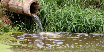 Presentaron un proyecto de ley para permitir que existan los recursos de amparo del tipo ambiental