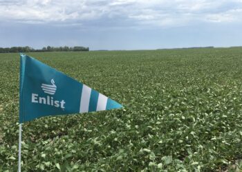 Hace su debut la soja Enlist resistente a varios herbicidas: Toda la paleta de variedades para esta campaña