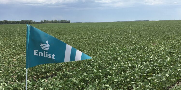 Hace su debut la soja Enlist resistente a varios herbicidas: Toda la paleta de variedades para esta campaña