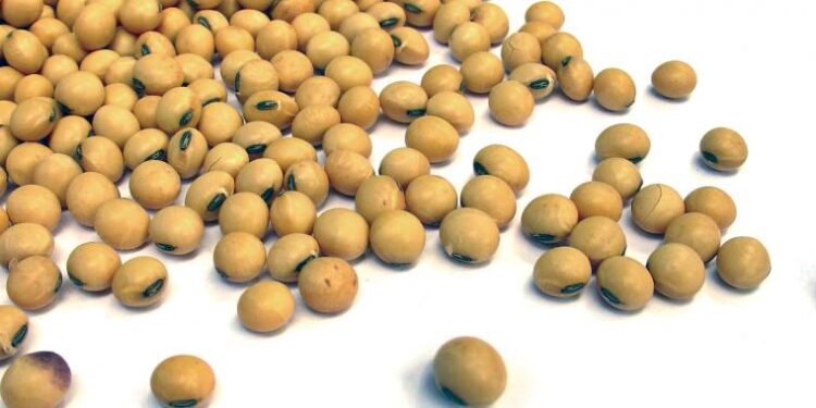 Nuevo estudio sobre el impacto de los cultivos transgénicos: La Argentina obtuvo siete cosechas adicionales por haberlos adoptado hace ya 25 años