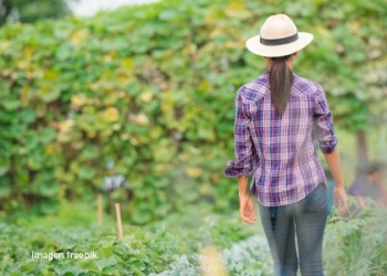 Mujeres emprendedoras: Corteva presentó el programa TalentA para capacitar y financiar los proyectos agropecuarios de mujeres rurales