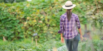 Mujeres emprendedoras: Corteva presentó el programa TalentA para capacitar y financiar los proyectos agropecuarios de mujeres rurales