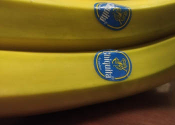 Bananeros: La Argentina gasta más dólares en importar esa fruta que los que obtiene por exportar peras o limones