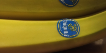 Bananeros: La Argentina gasta más dólares en importar esa fruta que los que obtiene por exportar peras o limones