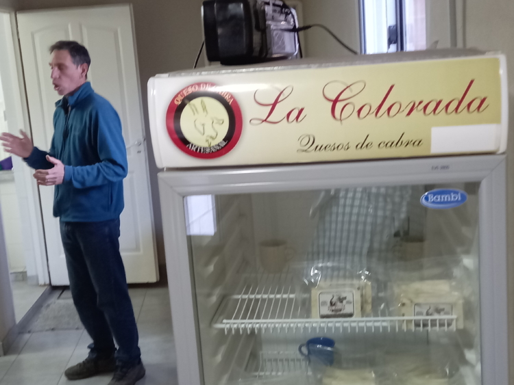 Querían sembrar orégano y terminaron criando cabras: Valeria y Rafael jamás pensaron en ser pastores y maestros queseros