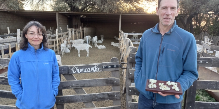 Querían sembrar orégano y terminaron criando cabras: Valeria y Rafael jamás pensaron en ser pastores y maestros queseros