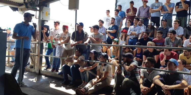 Se cumple el primer aniversario del Club de Buenas Prácticas Tamberas y viene con festejo