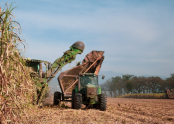 Agroempresas: Ledesma obtuvo menos producción por la sequía, mientras que las corporaciones globales del agro acumulan ganancias récord