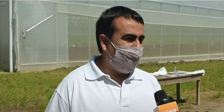 Experto en sustratos, Leonardo García considera que la hidroponia seguirá creciendo por la “fatiga” de los suelos en los cinturones hortícolas